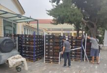 Μοίρασαν ροδάκινα στη Νίκαια, Δήμος και Παμπειραϊκή Ένωση Πολυτέκνων