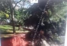 Ο ωχαδελφισμός της διοίκησης Χουρσαλά