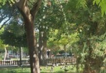 Για 6η μέρα ποτίζονται τα …τσιμέντα στην πλ. Μέμου – Έχει κατεβάσει ” ρολά” ο Δήμος ή παντελώς αδιάφορη η Διοίκηση Χουρσαλά;