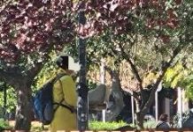 Ας γίνει κ. Χουρσαλά παράδειγμα για τη Δημοτική σας Αρχή και των συναδέλφων της , αυτή η εργαζόμενη